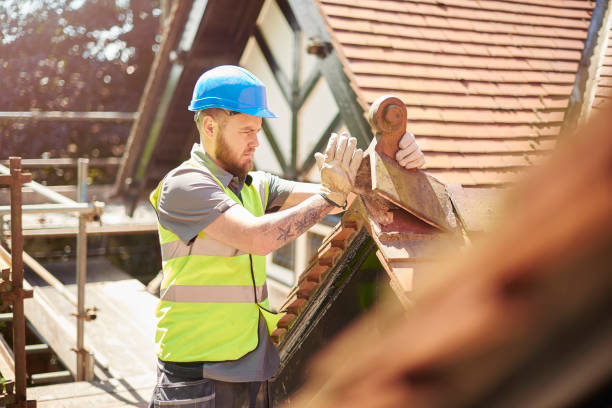 Best Gutter Installation and Roofing  in Vineyard, UT